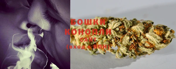 шишки Покров