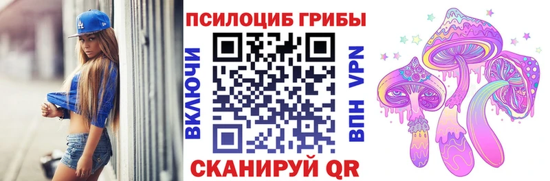 купить наркотики цена  Торопец  Псилоцибиновые грибы мухоморы 